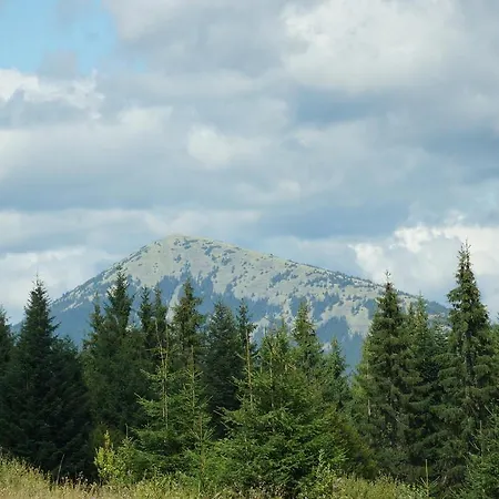 Dağ evi Eco Sadyba Familia Yaremche