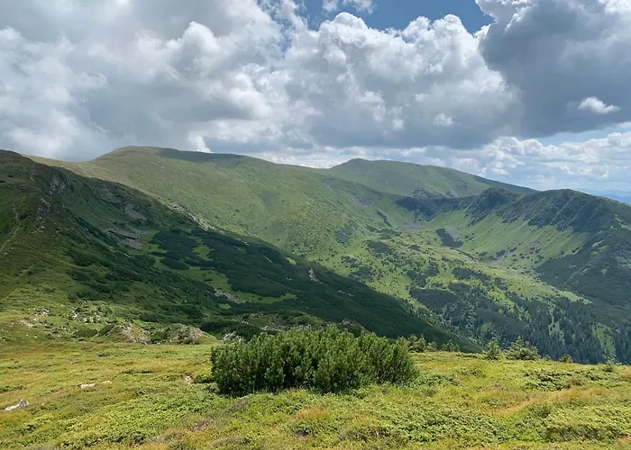 Dağ evi Eco Sadyba Familia Yaremche