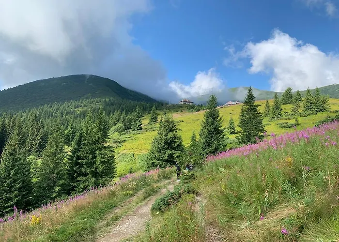 Dağ evi Eco Sadyba Familia *